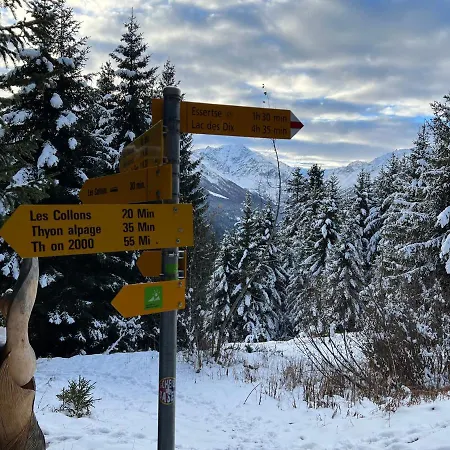 Apartment Cosy For 5 Near Lift, Hameau D2