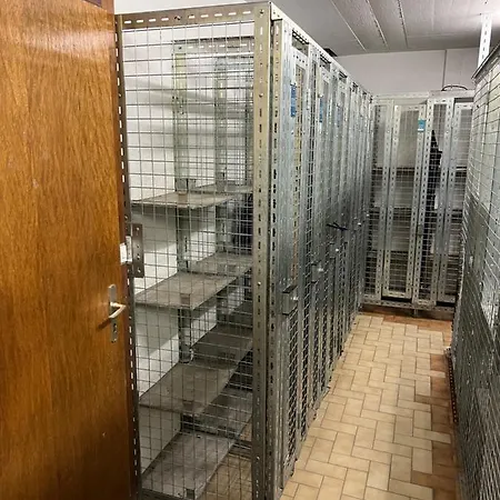 Apartment Cosy For 5 Near Lift, Hameau D2 *