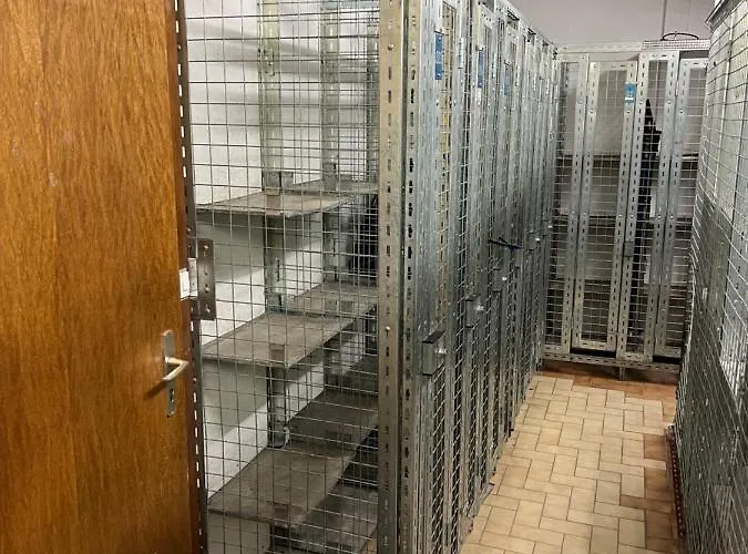 Lägenhet Cosy For 5 Near Lift, Hameau D2 *